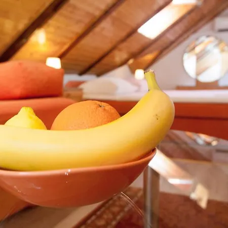 Studio Lavanda Apartament *